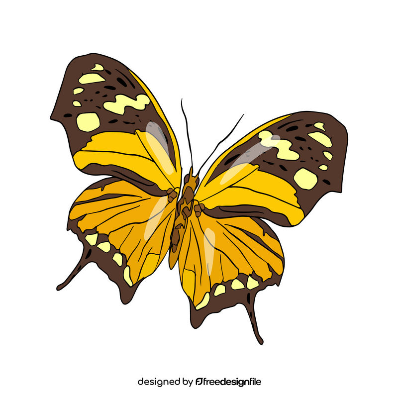 Butterfly illustration clipart