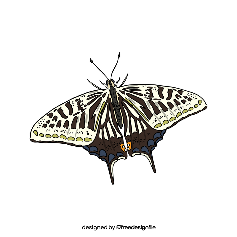 Free butterfly clipart