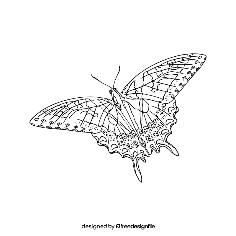 Free black butterfly black and white clipart