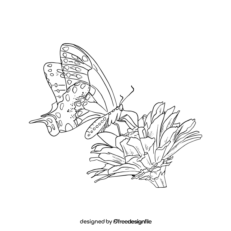 Free butterfly black and white clipart