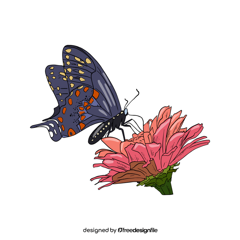 Free butterfly clipart