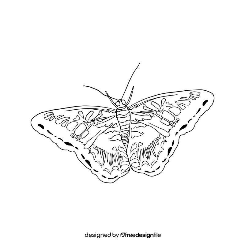 Free orange butterfly black and white clipart