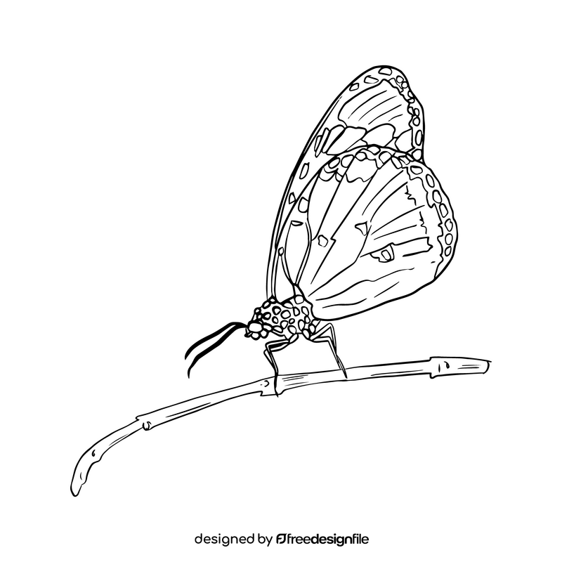 Free butterfly black and white clipart