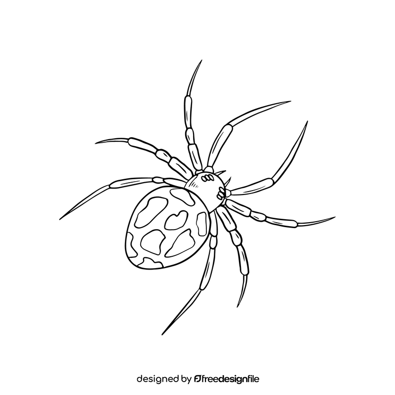Spider black and white clipart