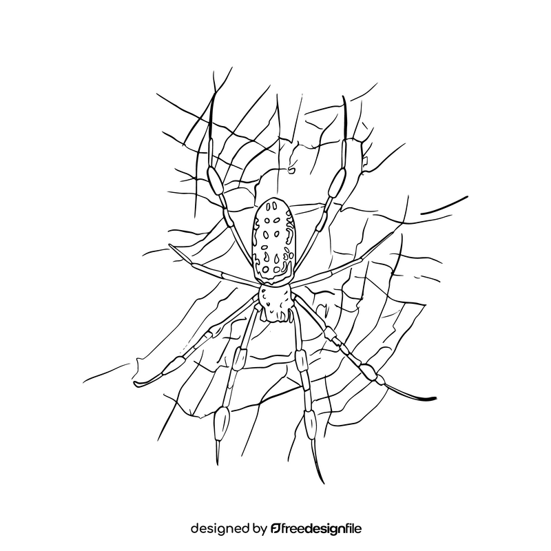 Free spider illustration black and white clipart