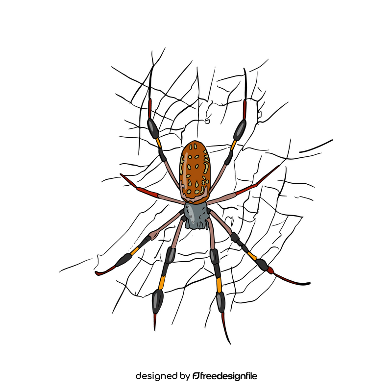 Free spider illustration clipart