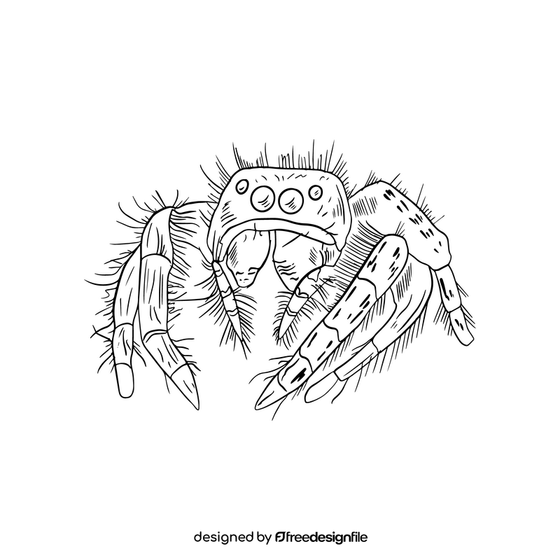 Spider cartoon black and white clipart