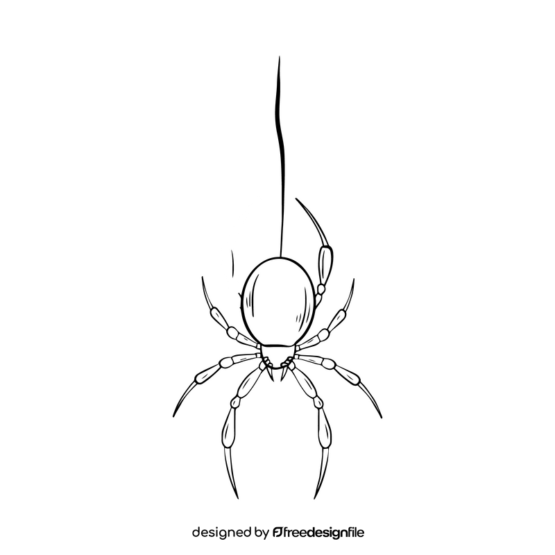 Free spider illustration black and white clipart