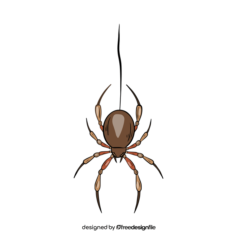 Free spider illustration clipart