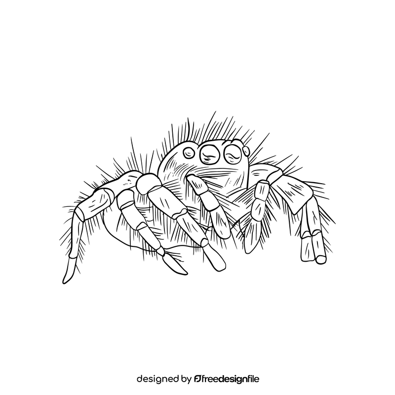 Spider black and white clipart