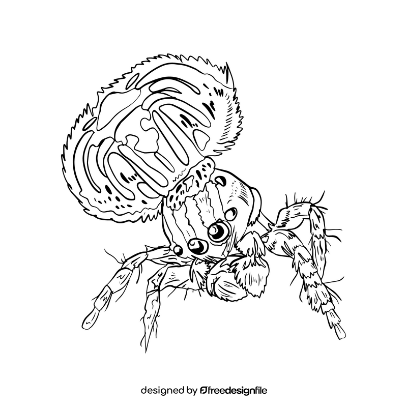 Spider drawing black and white clipart