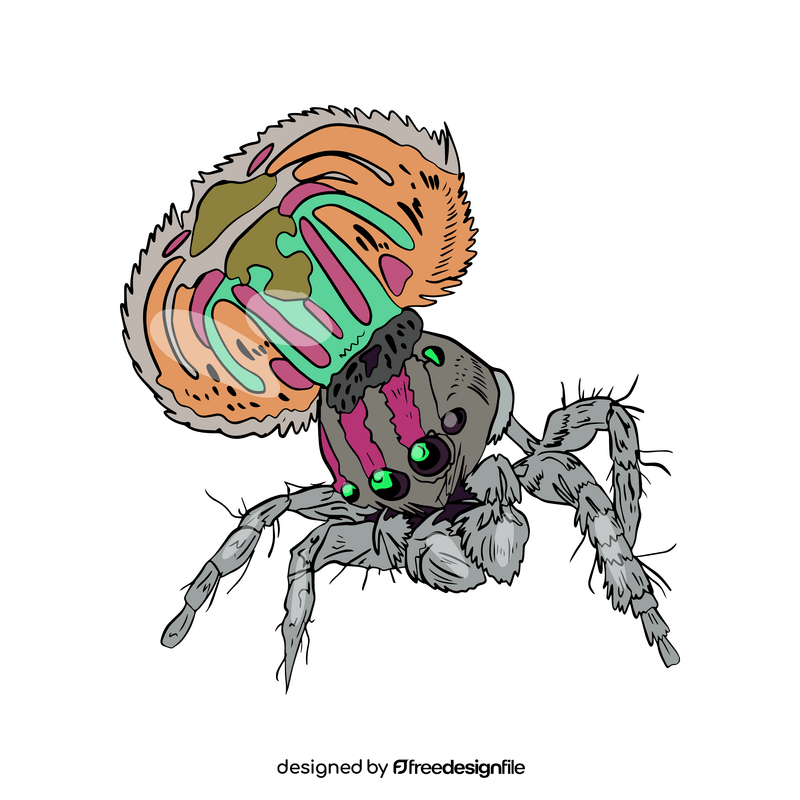 Spider drawing clipart