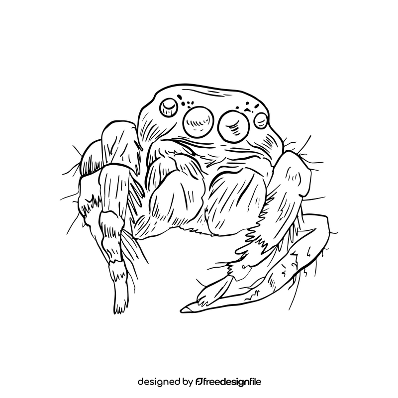 Spider drawing black and white clipart