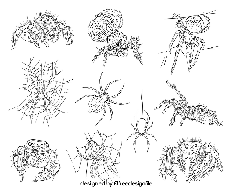 Free spiders black and white vector