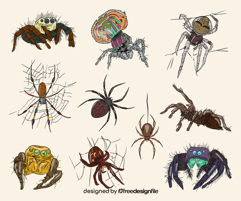 Free spiders vector
