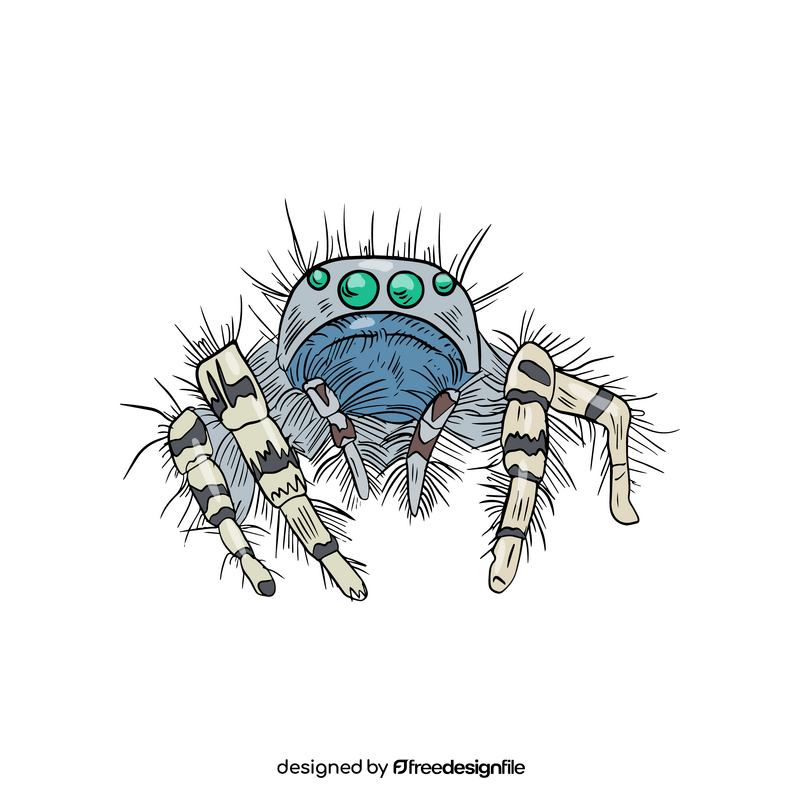 Spider illustration clipart