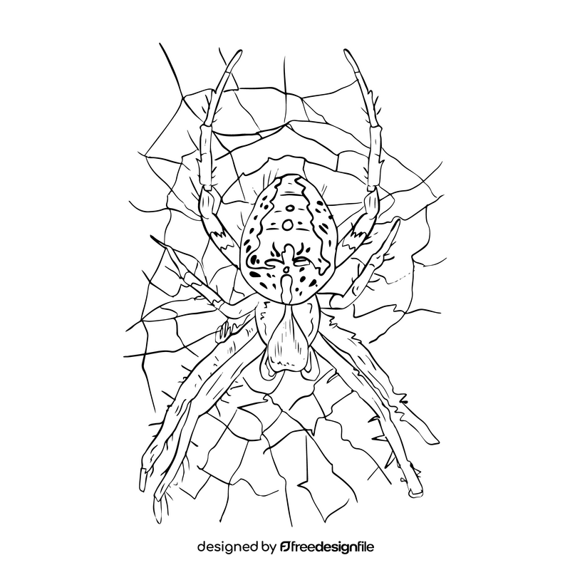 Spider cartoon black and white clipart