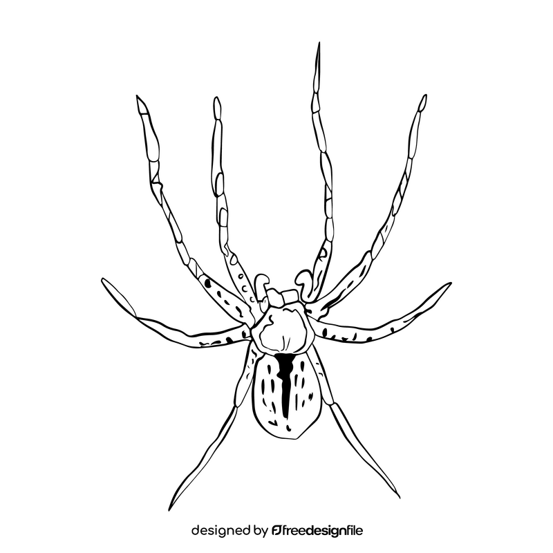 Spider cartoon black and white clipart