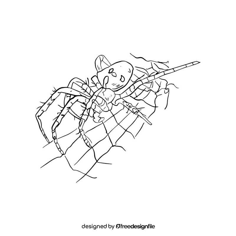 Spider cartoon black and white clipart