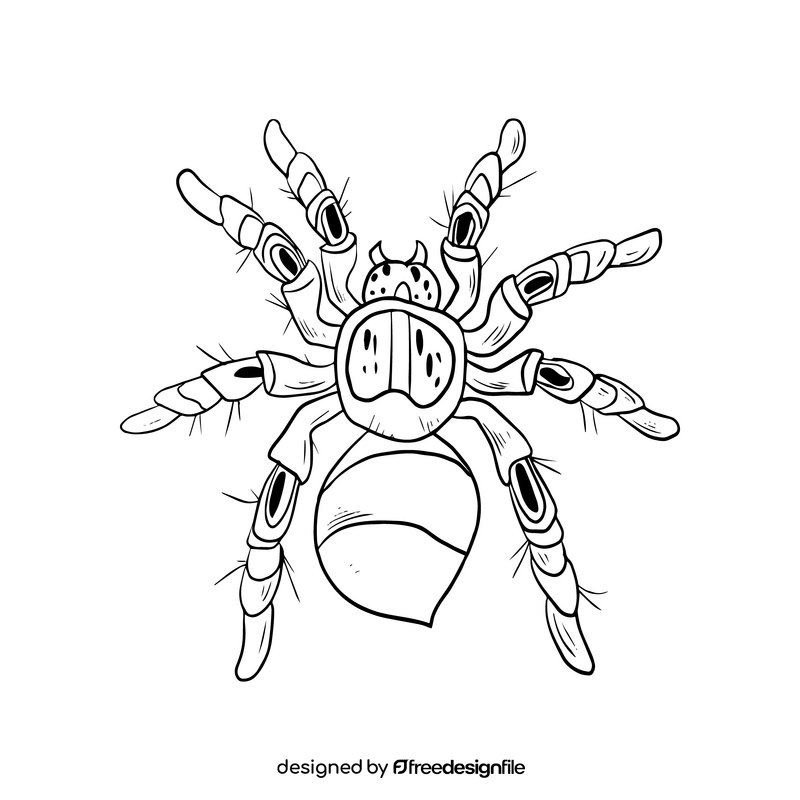 Spider black and white clipart