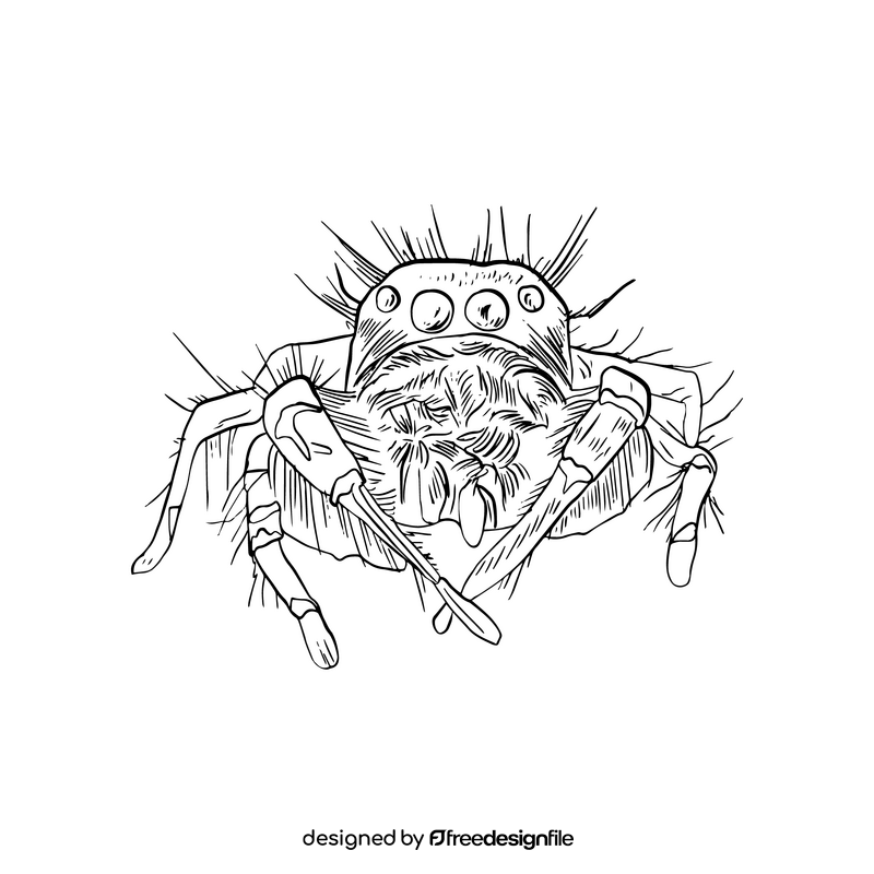 Spider black and white clipart vector free download