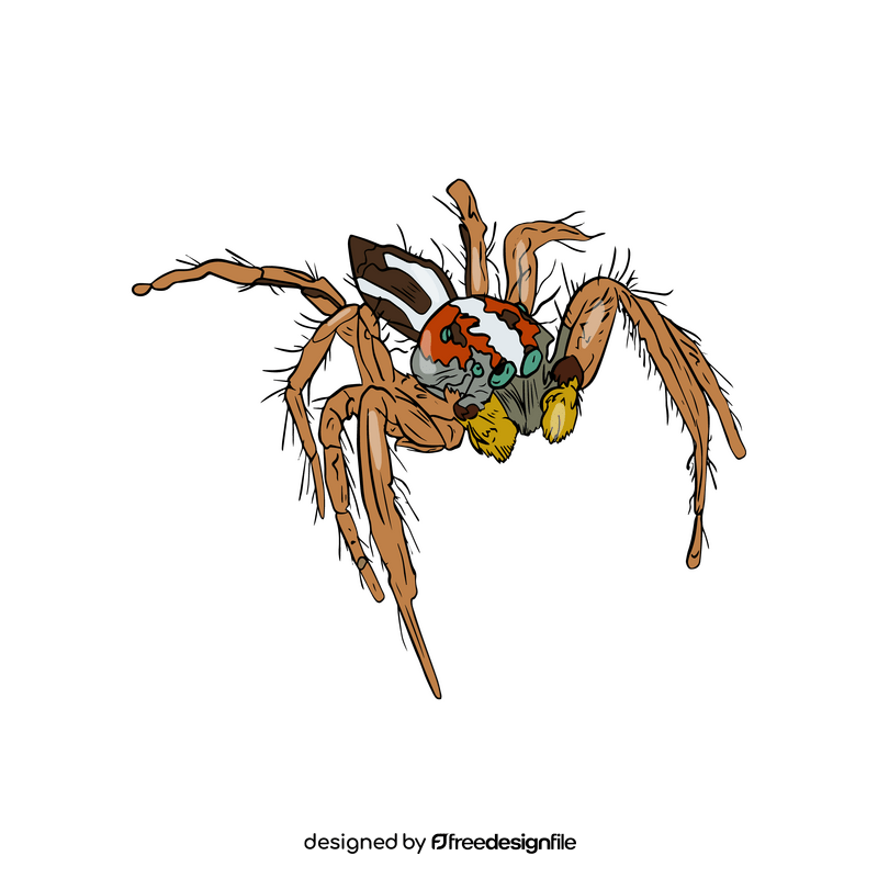 Spider clipart