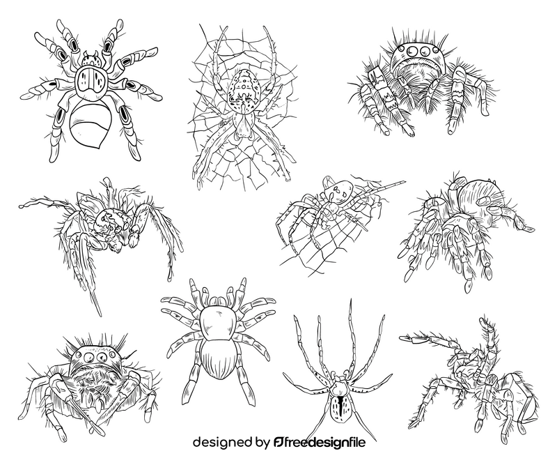 Spiders cartoon black and white vector