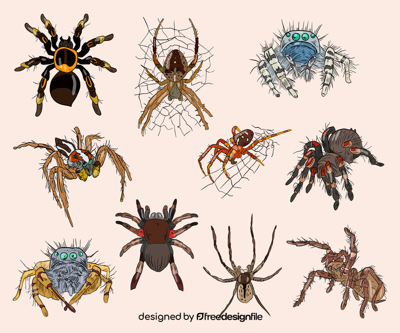 Spiders cartoon vector