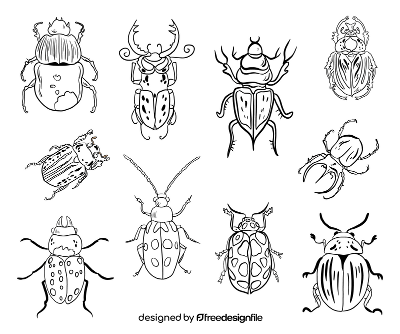 Bugs illustration black and white vector