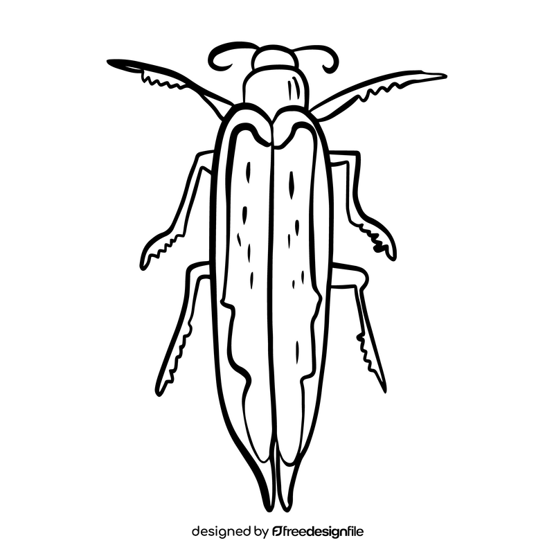 Bug drawing black and white clipart