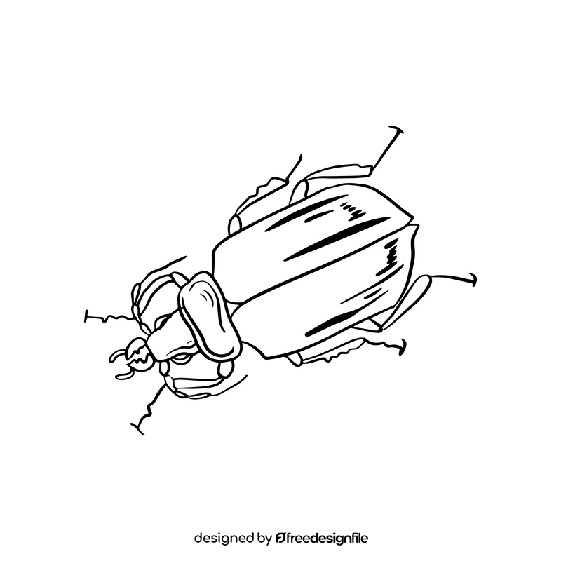 Free bug black and white clipart