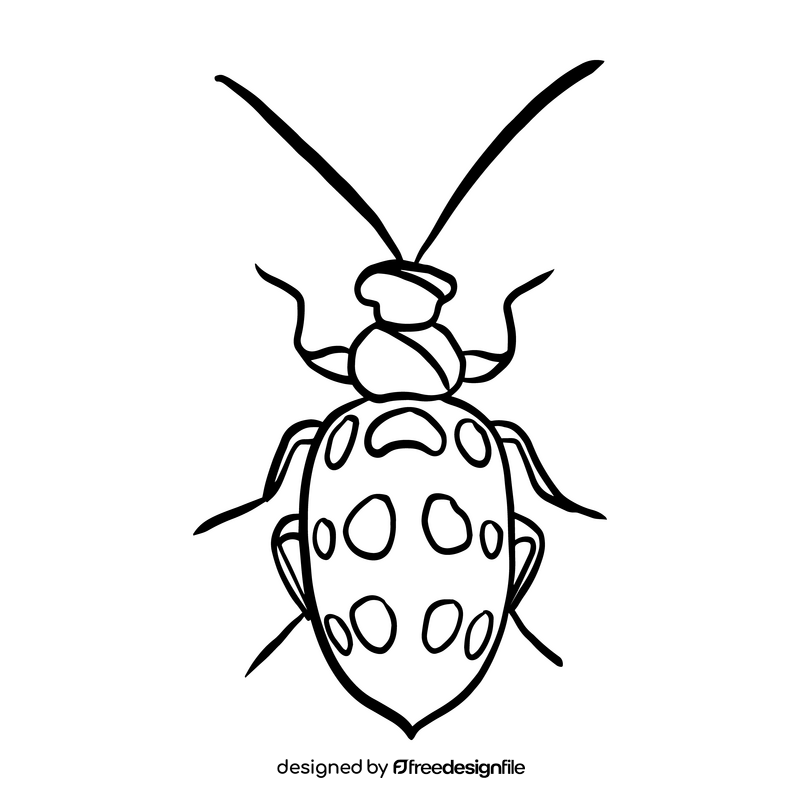 Bug drawing black and white clipart