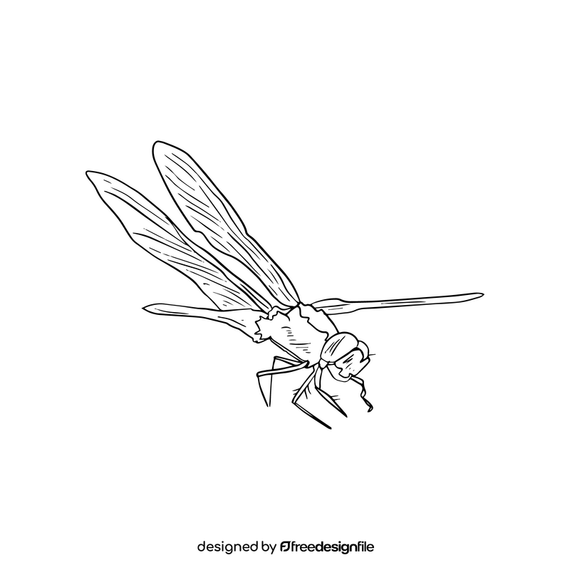 Dragonfly black and white clipart