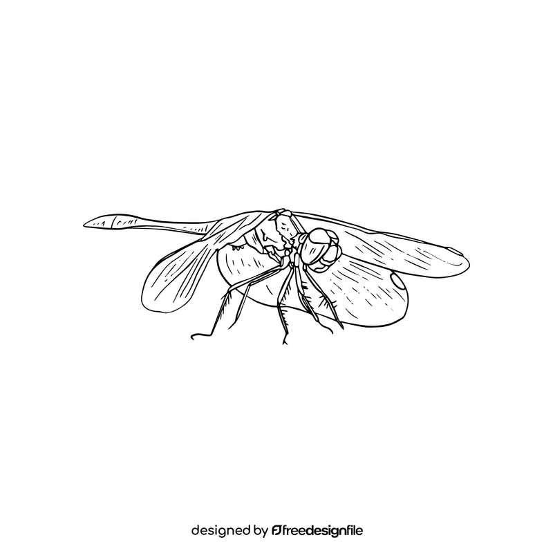 Dragonfly illustration black and white clipart