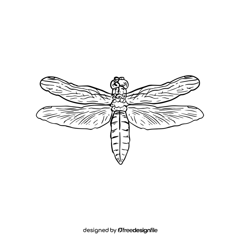 Free dragonfly black and white clipart