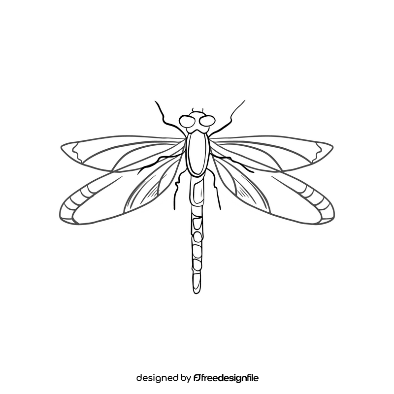 Cartoon dragonfly black and white clipart