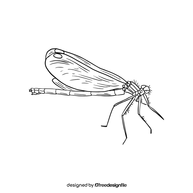 Dragonfly black and white clipart
