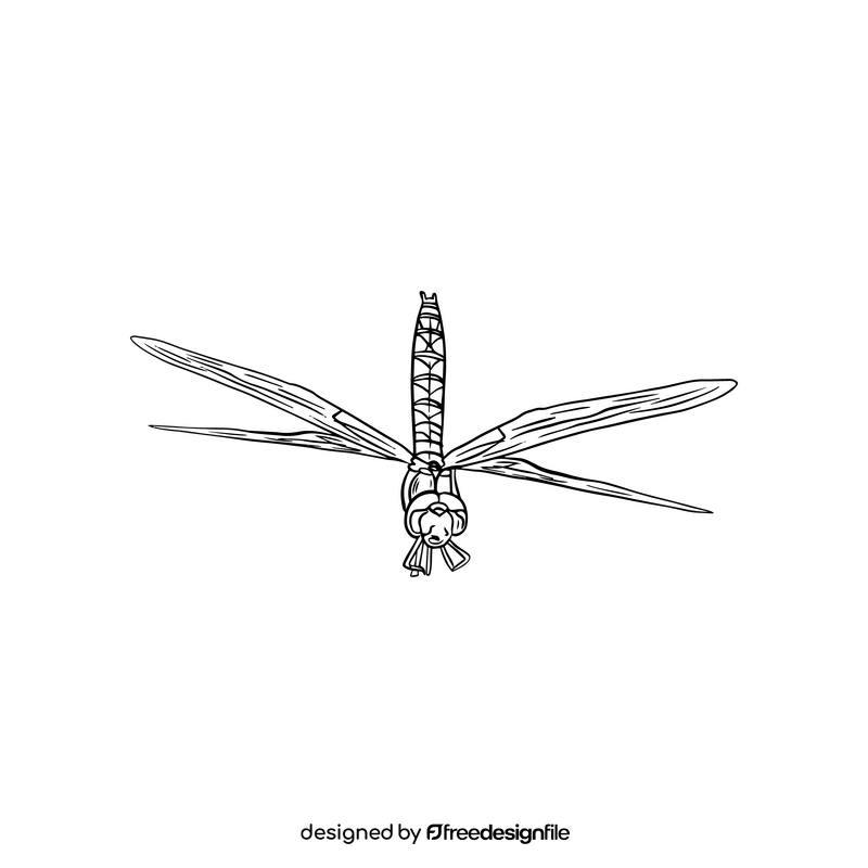 Cartoon dragonfly black and white clipart