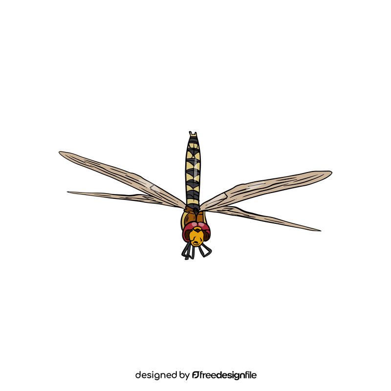 Cartoon dragonfly clipart