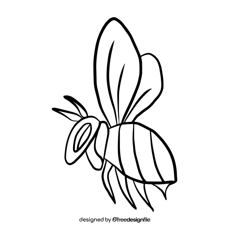 Bee black and white clipart