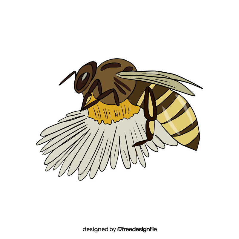 Bee on a flower clipart
