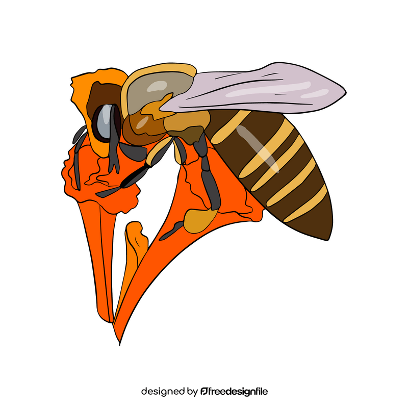 Bee on a flower clipart