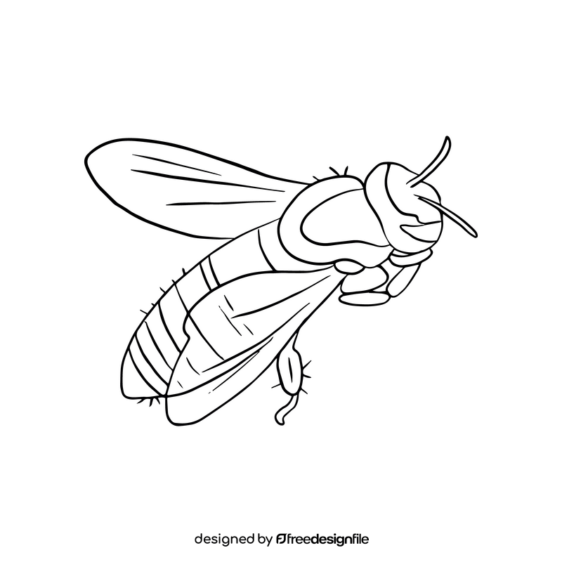 Bee drawing black and white clipart