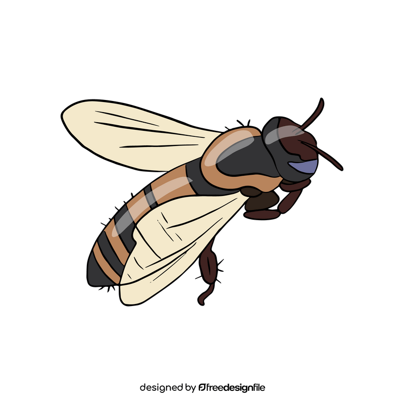 Bee drawing clipart