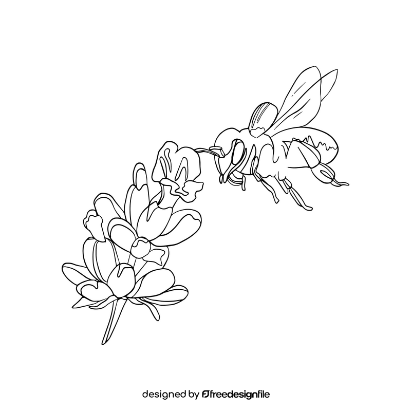 Bee on a flower illustration black and white clipart