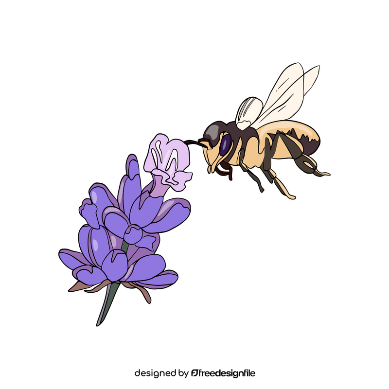Bee on a flower illustration clipart