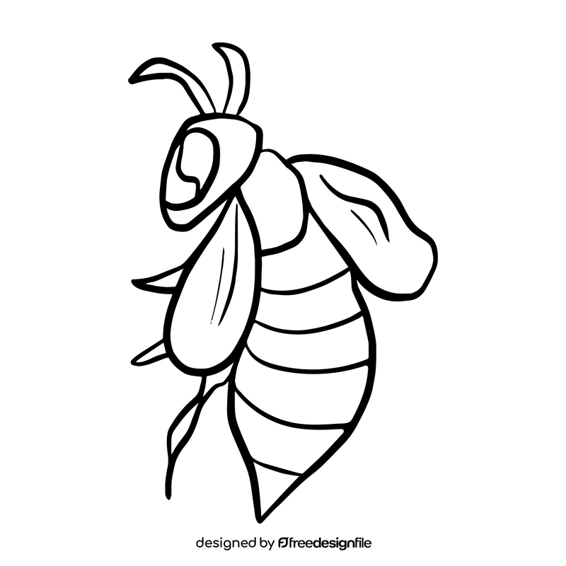 Bee black and white clipart