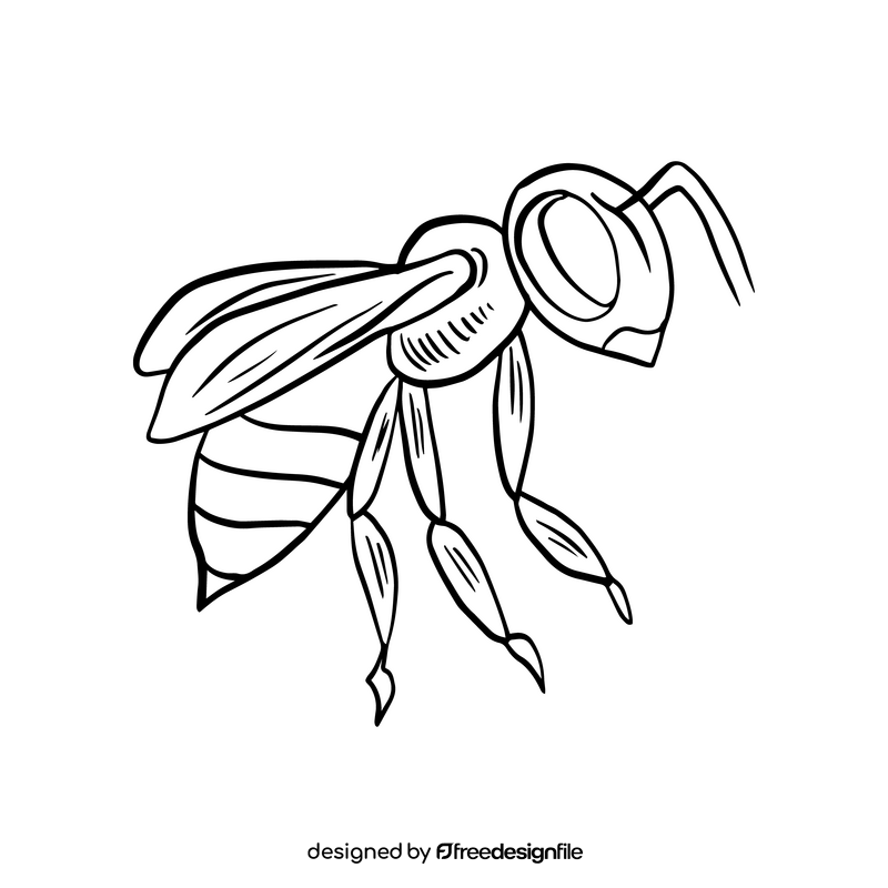 Cartoon bee black and white clipart