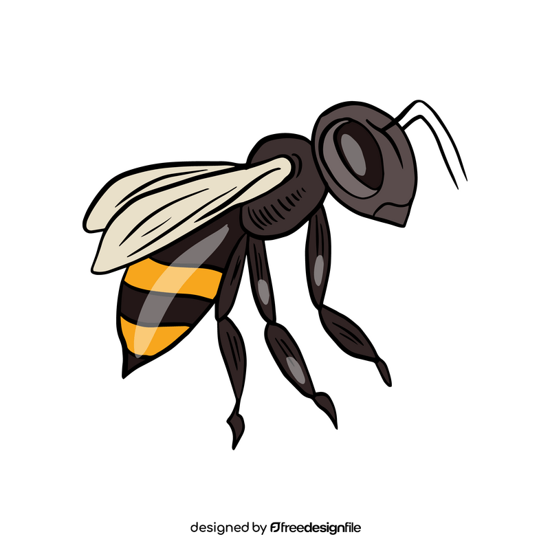 Cartoon bee clipart