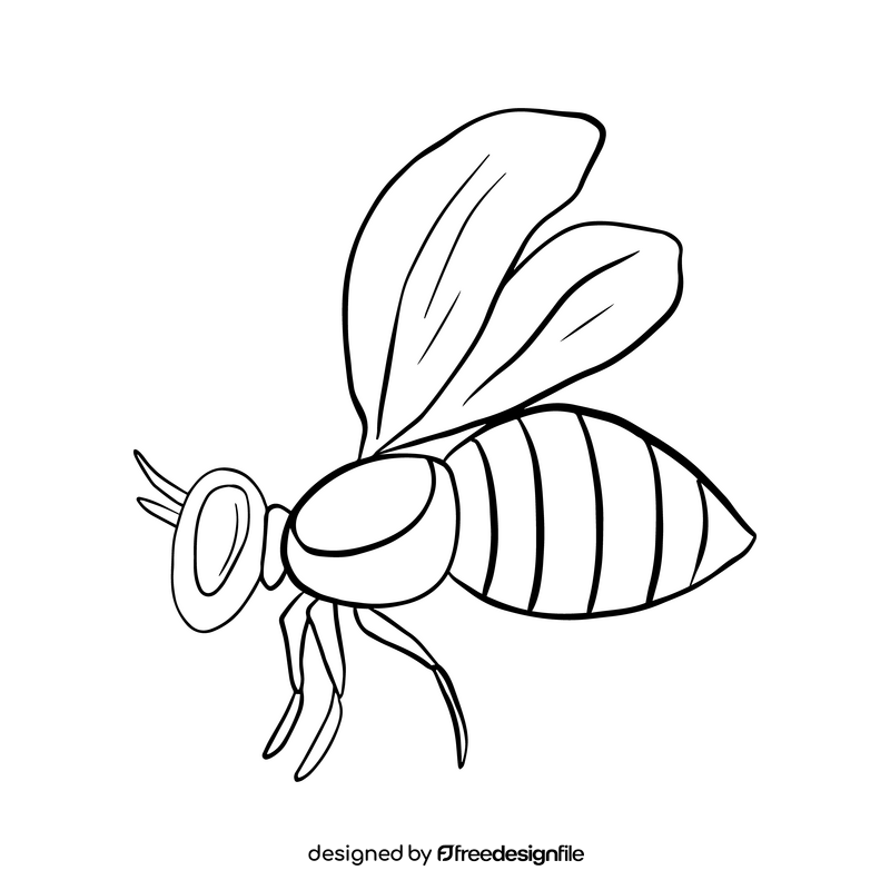 Free bee illustration black and white clipart